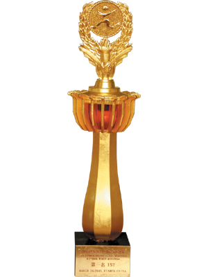 ���������ɽ���