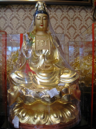 �����͸�