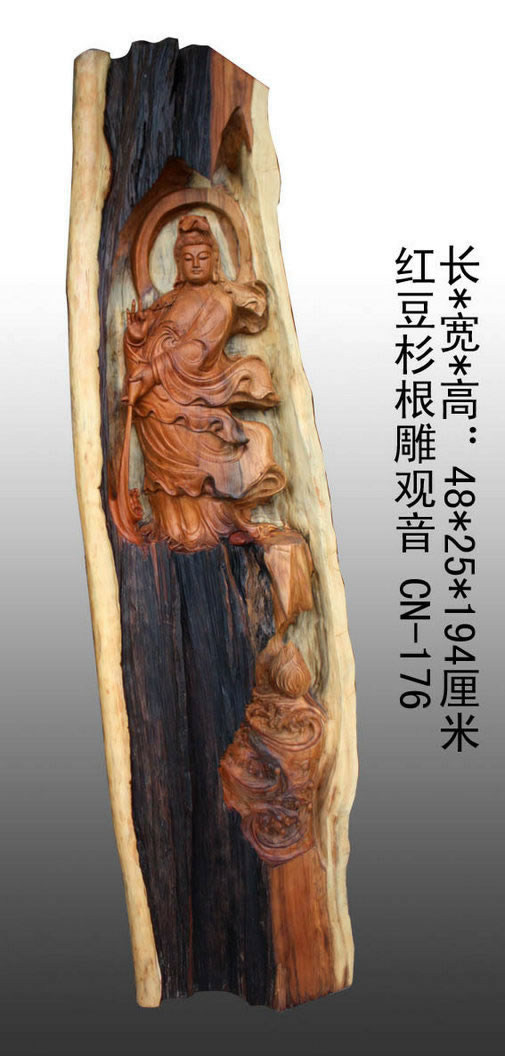 �춹ɼ�������