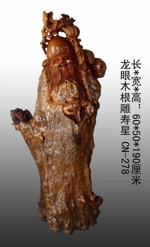 ����ľ��������