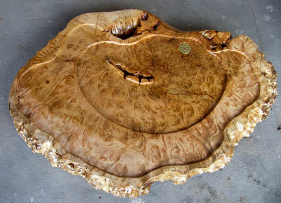 ���ƽ����������