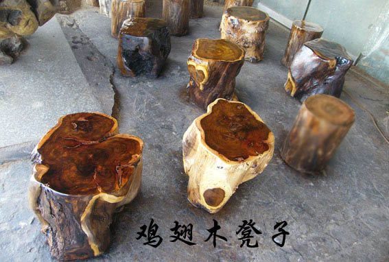 ����ľ����