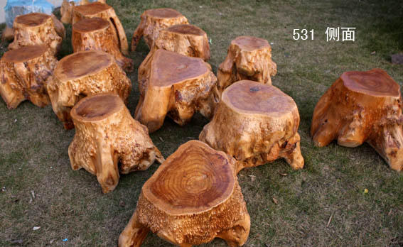 ɼľ���������