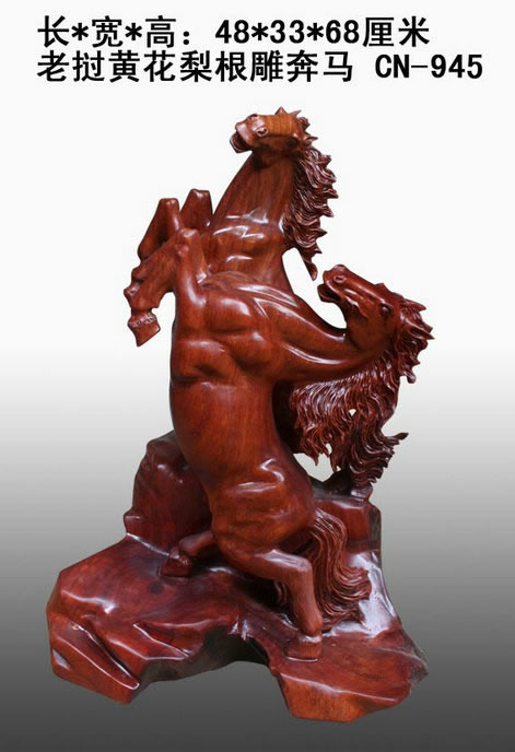 ����ľ����������