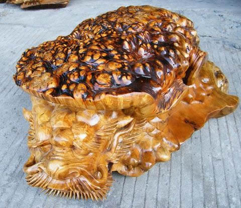 ���ƽ�����������